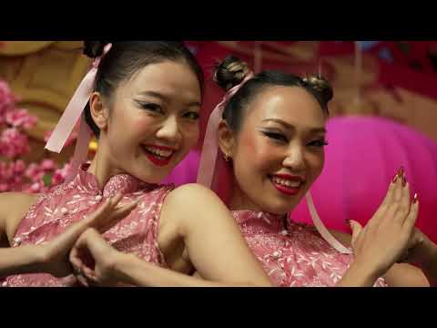 S24/25 Happy Wednesday | Blossom Nights